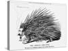 The French Porcupine, 1859-null-Stretched Canvas