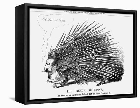 The French Porcupine, 1859-null-Framed Stretched Canvas