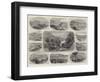 The French Riviera, Winter Health Resorts-null-Framed Giclee Print