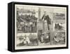 The French Sardine Industry-William Heysham Overend-Framed Stretched Canvas