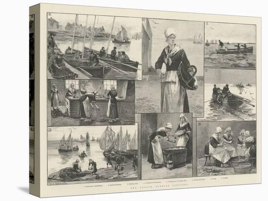 The French Sardine Industry-William Heysham Overend-Stretched Canvas