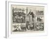 The French Sardine Industry-William Heysham Overend-Framed Giclee Print