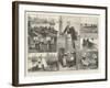 The French Sardine Industry-William Heysham Overend-Framed Giclee Print