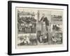 The French Sardine Industry-William Heysham Overend-Framed Giclee Print