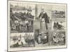 The French Sardine Industry-William Heysham Overend-Mounted Giclee Print