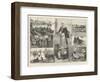 The French Sardine Industry-William Heysham Overend-Framed Premium Giclee Print