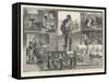 The French Sardine Industry-William Heysham Overend-Framed Stretched Canvas