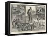 The French Sardine Industry-William Heysham Overend-Framed Stretched Canvas