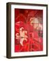 The french vermilion lily, 2012-Timothy Nathan Joel-Framed Giclee Print