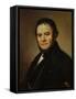 The French Writer Henri Beyle, also known as Stendhal, 1840-Johan Olaf Sodermark-Framed Stretched Canvas