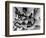 The Freshman, 1925-null-Framed Photographic Print