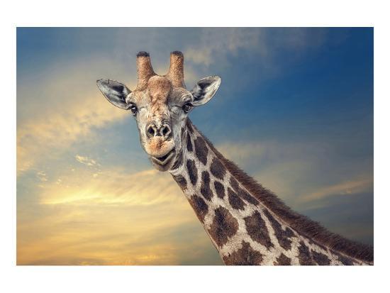 Art Print, , large