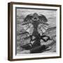 The Frilled Lizard of Australia Opening Its Frill to Ward Off Intruders-Fritz Goro-Framed Photographic Print