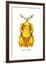 The Frog, 1923-null-Framed Giclee Print