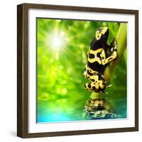 The Frog (Dendrobates Leucomelas) In A Rainforest-Kletr-Framed Art Print