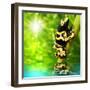 The Frog (Dendrobates Leucomelas) In A Rainforest-Kletr-Framed Art Print