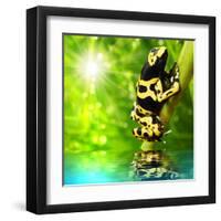 The Frog (Dendrobates Leucomelas) In A Rainforest-Kletr-Framed Art Print