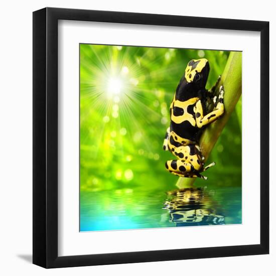 The Frog (Dendrobates Leucomelas) In A Rainforest-Kletr-Framed Art Print