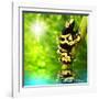 The Frog (Dendrobates Leucomelas) In A Rainforest-Kletr-Framed Art Print