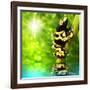 The Frog (Dendrobates Leucomelas) In A Rainforest-Kletr-Framed Art Print