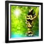 The Frog (Dendrobates Leucomelas) In A Rainforest-Kletr-Framed Art Print