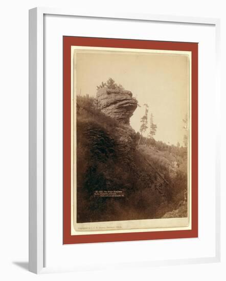 The Frog's Head Rock on Old Deadwood Stage Road-John C. H. Grabill-Framed Giclee Print