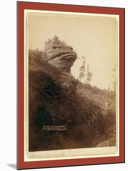 The Frog's Head Rock on Old Deadwood Stage Road-John C. H. Grabill-Mounted Giclee Print