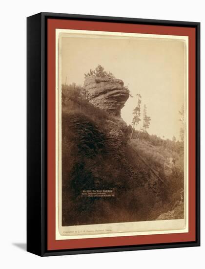 The Frog's Head Rock on Old Deadwood Stage Road-John C. H. Grabill-Framed Stretched Canvas