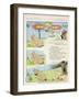 The Frog Who Wanted to Be as Fat as the Bull, Illustration from 'Fables' by Jean de La Fontaine,…-Benjamin Rabier-Framed Giclee Print