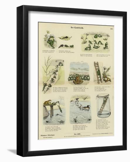 The Frog-null-Framed Giclee Print
