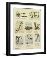 The Frog-null-Framed Giclee Print