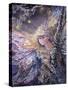 The Frost Fairy-Josephine Wall-Stretched Canvas