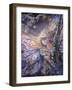 The Frost Fairy-Josephine Wall-Framed Giclee Print