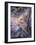 The Frost Fairy-Josephine Wall-Framed Giclee Print