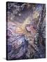 The Frost Fairy-Josephine Wall-Stretched Canvas