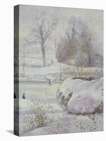 The Frozen Day-Timothy Easton-Stretched Canvas