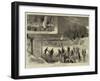 The Frozen Thames at Twickenham-null-Framed Giclee Print