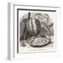 The Fruit of the Cocoa (Or Chocolate) Plant Theobroma Cacao-Berveiller-Framed Art Print