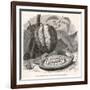 The Fruit of the Cocoa (Or Chocolate) Plant Theobroma Cacao-Berveiller-Framed Premium Giclee Print