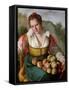 The Fruitseller-Vincenzo Campi-Framed Stretched Canvas