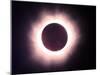 The Full Solar Eclipse is Seen in Saint Pierre Du Port Near Normandy, France-null-Mounted Premium Photographic Print