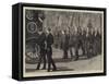 The Funeral of Napoleon Iii, the Chief Mourners-null-Framed Stretched Canvas