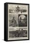 The Funeral of President Garfield, the Lying-In-State at Cleveland, Ohio-Joseph Nash-Framed Stretched Canvas