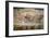 The Funeral of Saint Francis of Assisi-null-Framed Giclee Print