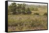 The Furze Field, 19th Century-Samuel Palmer-Framed Stretched Canvas