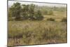 The Furze Field, 19th Century-Samuel Palmer-Mounted Giclee Print