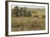 The Furze Field, 19th Century-Samuel Palmer-Framed Giclee Print