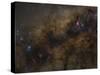 The Galactic Center of the Milky Way Galaxy-null-Stretched Canvas