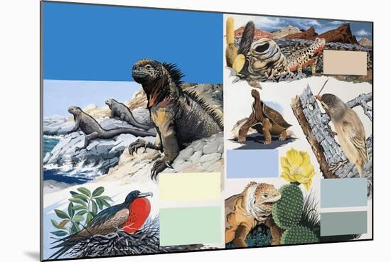 The Galapagos Islands-Arthur Oxenham-Mounted Giclee Print