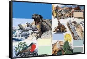 The Galapagos Islands-Arthur Oxenham-Framed Stretched Canvas